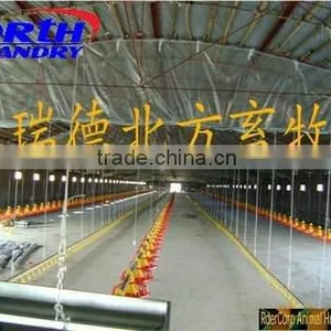 Automatic Poultry Feeders and Drinkers for Broiler Chicken thumbnail-6