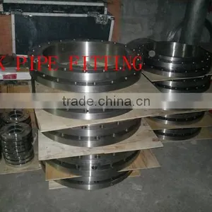 Flanges in Super Duplex UNS S32750 & S32760 thumbnail-6