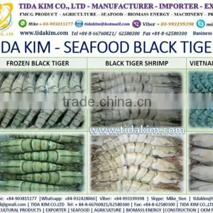 PANGASIUS HYPOPTHALMUS -TAPILA FROZEN BASA FILLLET - TIDA KIM - BLACK TIGER SHRIMP LIVE FROZEN LOBSTER P - MAKEREL FISH MAW thumbnail-4