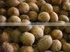 Matured Coconut For Sale From Kerala thumbnail-3