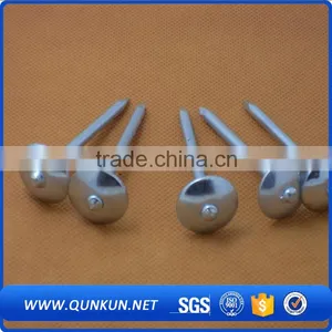 Concrete Nails Making Machine, Galvanized Grooved ss Nails Quality Choice thumbnail-5