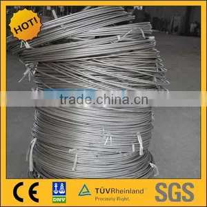 Stainless Steel Seamless Coiled Tubing thumbnail-1