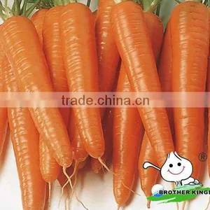 Fresh Carrot in Fresh Carrots,Organic Carrots thumbnail-4