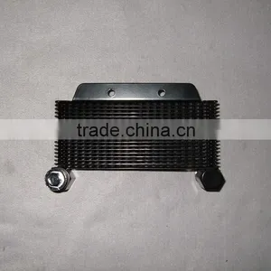 Radiator for Motorcycle Parts for KEEWAY TX200 SCL-2012030010 thumbnail-2