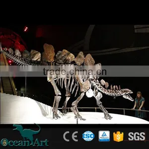 OA-DS-16051301 Replicated Dinosaur Fossils thumbnail-5