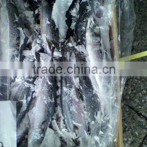 MACKEREL WHOLE ROUND thumbnail-1