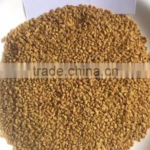 Fenugreek Seed thumbnail-2