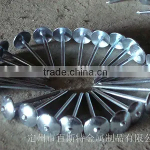 2.5inch Twistgalvanized Twist Shank Roofing Nail With Umbrella Head thumbnail-4