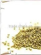 Coriander Seeds thumbnail-1