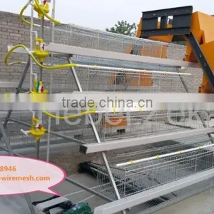 4 Tiers A Type Layer Chicken Battery Cage for Poultry Farm thumbnail-5