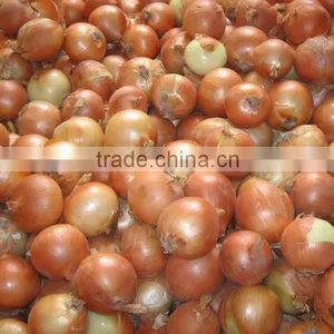 Sweet Onion Price 1 kg From Chinese Onion Exporter thumbnail-1