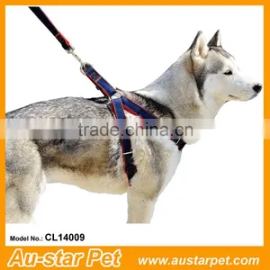 Branded Cheap Bulk Pet Supplies L Denim Pet Leashes thumbnail-1