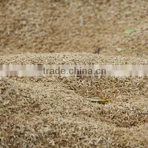 Rice Hulls thumbnail-1