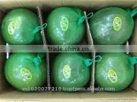 Professional Supply Sweet Fresh Pomelo thumbnail-1
