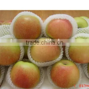 Gala Apple thumbnail-3