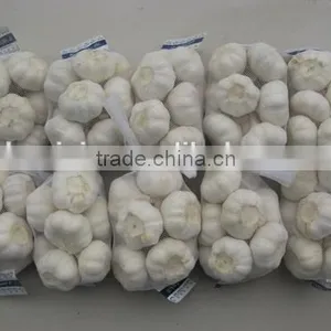 New Crop Fresh Garlic thumbnail-4