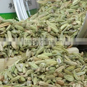 China Manufacturer Wholesale Fennel Powder Buying on thumbnail-2