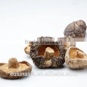Dry Shitake Slice Dry Whole Shiitake Cultivated Mushroom thumbnail-1