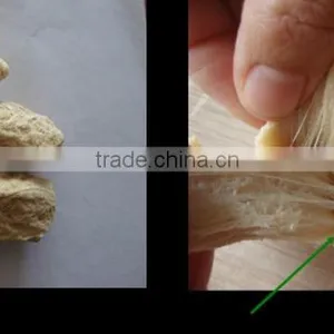 Textured Soy Protein thumbnail-1