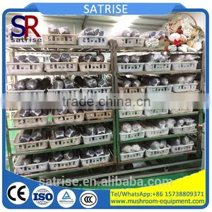 Heavy Duty Epoxy Coated Mushroom Growing Shelf thumbnail-2