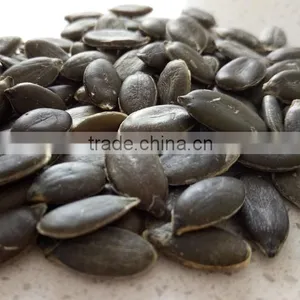 EU Standard Shine Skin Pumpkin Seeds Kernels and GWS Pumpkin Seeds thumbnail-2