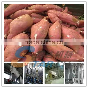 Hot Sale Cheap Price Large Capacity Sweet Potato Starch Machine thumbnail-1