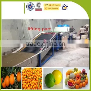 Tomato Potato Citrus Washing and Waxing Machine/fruit and Vegetable Grading Machine thumbnail-1