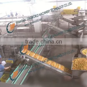 Canned Fruit Chain Slat Conveyer Machine Conveying System thumbnail-1