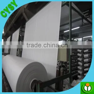 Greenhouse Ground Cover Plastic Woven pp Weed Control Mat for Sale thumbnail-6