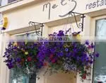2014 Hanging Ball Indoor and Outdoor Greening Decoration thumbnail-1