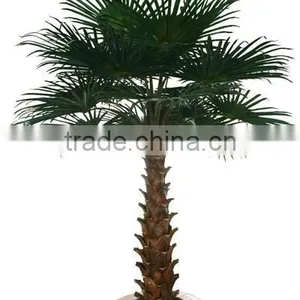 Wholesale Fiber Glass and Plastic Palm Tree Chinese Goods Tall Palm Trees thumbnail-4