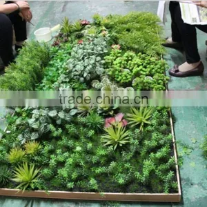 Artificial Green Plants Wall for Sale thumbnail-5