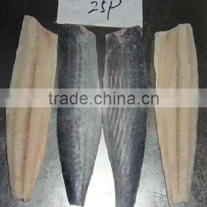 Frozen Spanish Mackerel Fillet thumbnail-5