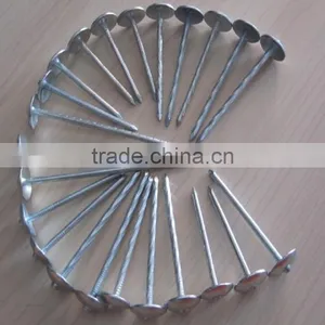 High Quality Umbrella Head Galvanized Roofing Nail thumbnail-2