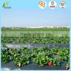 PP Spunbonded Agriculture Mulch Nonwoven Fabric thumbnail-1