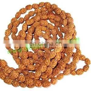 Rudraksha Beads String (mala) 2 Mukhi (two Face), Size: 10mm Thickness thumbnail-1