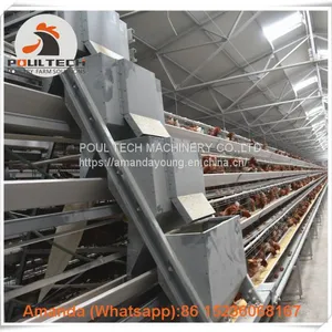 Brazil A Type Battery Laying Hen Cage & Chicken Cage With 90-200 Birds for Poultry Farm thumbnail-3