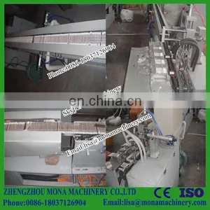 Plastic Rod/ Bamboo/ Wood / Paper Cotton Swabs Making Machine thumbnail-3