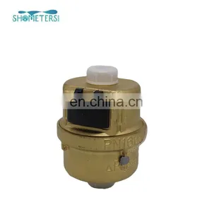 LXHY Series Good Quality High Accuracy Brass Body Volumetric Water Meter thumbnail-5