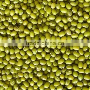 Mungbean thumbnail-1