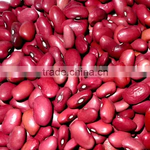 Organic Red Kidney Bean thumbnail-1