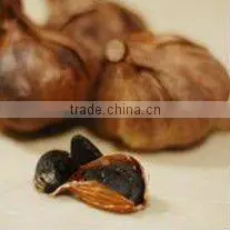 Organic Black Garlic thumbnail-1