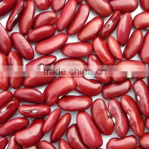 Organic Red Kidney Bean thumbnail-1