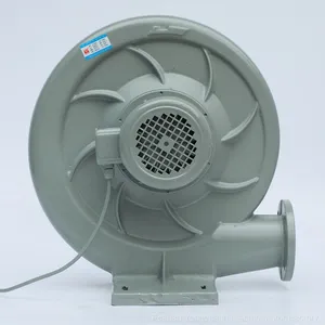 FZ8A5912