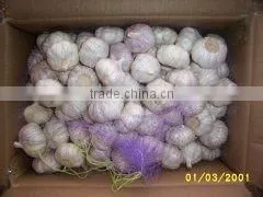 Garlic in 10kg Carton thumbnail-1