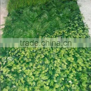 Garden Green Wall thumbnail-1