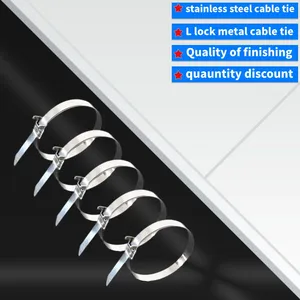 Ｌlocking Stainless Steel Cable Tie 304 Material thumbnail-3