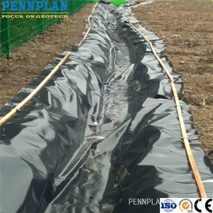 0.5mm 0.75mm 1mm Aquaculture Pond Liner Fish Shrimp Pond Liner HDPE Geomembranes thumbnail-1