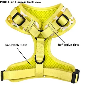 Pet Wear Set With Recycled Materials thumbnail-2