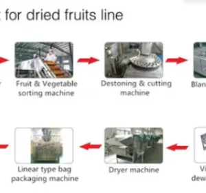 Dehydrated Fruit Vegetable Dried Strawberry Processing Line thumbnail-5